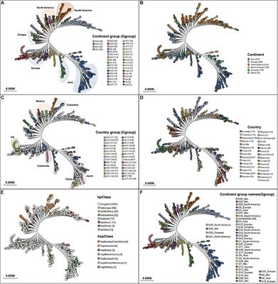 Whole-Genome-Based Helicobacter pylori Geographic Surveillance: A Visualized and Expandable Webtool